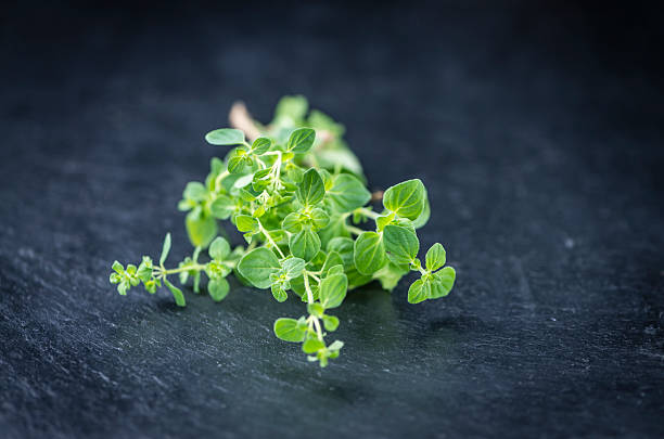 istock Portion of fresh Oregano 525484114
