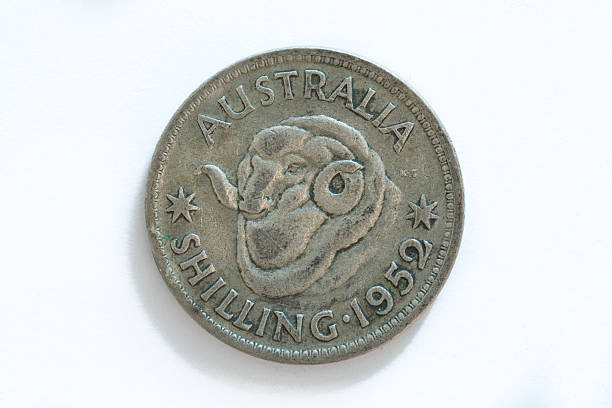 Australian Shilling from 1952 A close up photograph of an Australian shilling from 1952. The 1952 Australian shilling obverse features the bare head of King George VI facing left. The reverse features a merino ram, a tribute to Australia's reliance on the wool trade during this period. Either side are stars, and above the word 'AUSTRALIA'. Below is the word 'SHILLING', and the date. 1952 1952 stock pictures, royalty-free photos & images