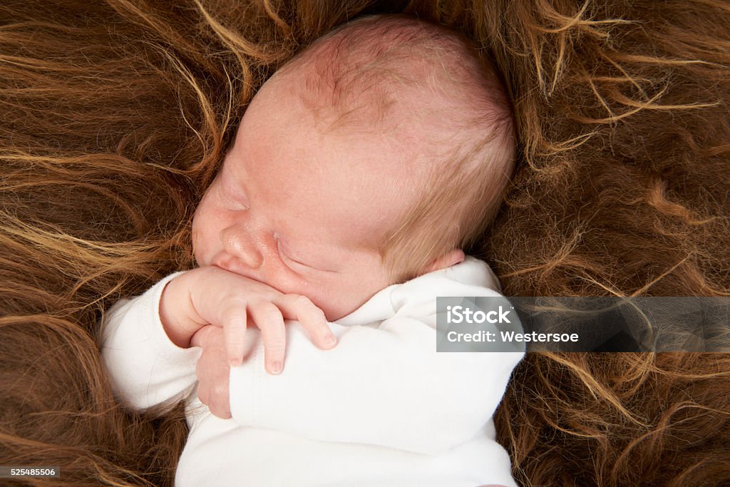 Retrato de niño bebé en blanco Body de cuerpo entero vestido - Foto de stock de 0-1 mes libre de derechos