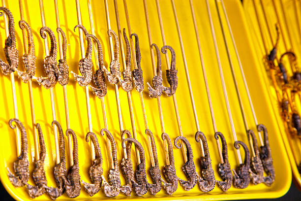 seahorses on skewers on a food market in Beeging