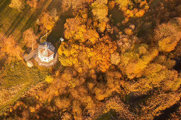 istock Aerial photo of forest 525488000