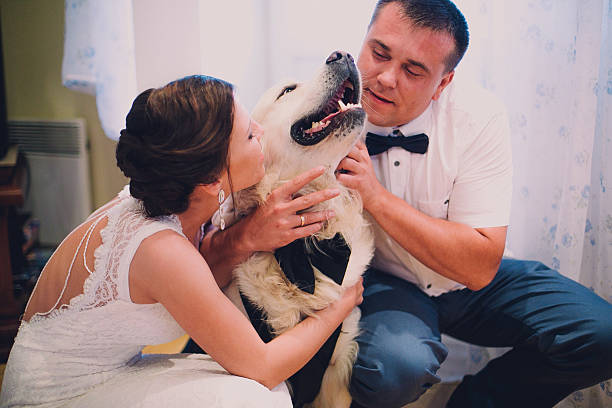 istock groom and bride playing with their dog labrador at home 525488772