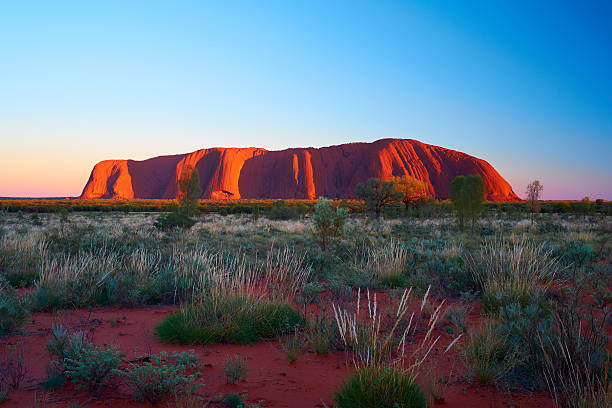 uluru à l'aube - uluru australia northern territory sunrise photos et images de collection