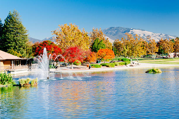 istock Walnut Creek and Mt Diablo, Heather Farm Park 525493588