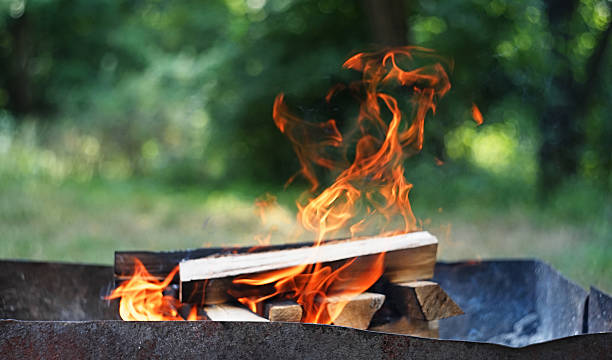 istock Fire, flames from wood ember for grill or bbq picnic 525493962