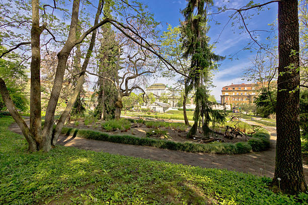 istock Botanical garden of Zagreb flora view 525495561