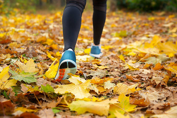 istock run in the autumn morning woods 525495895