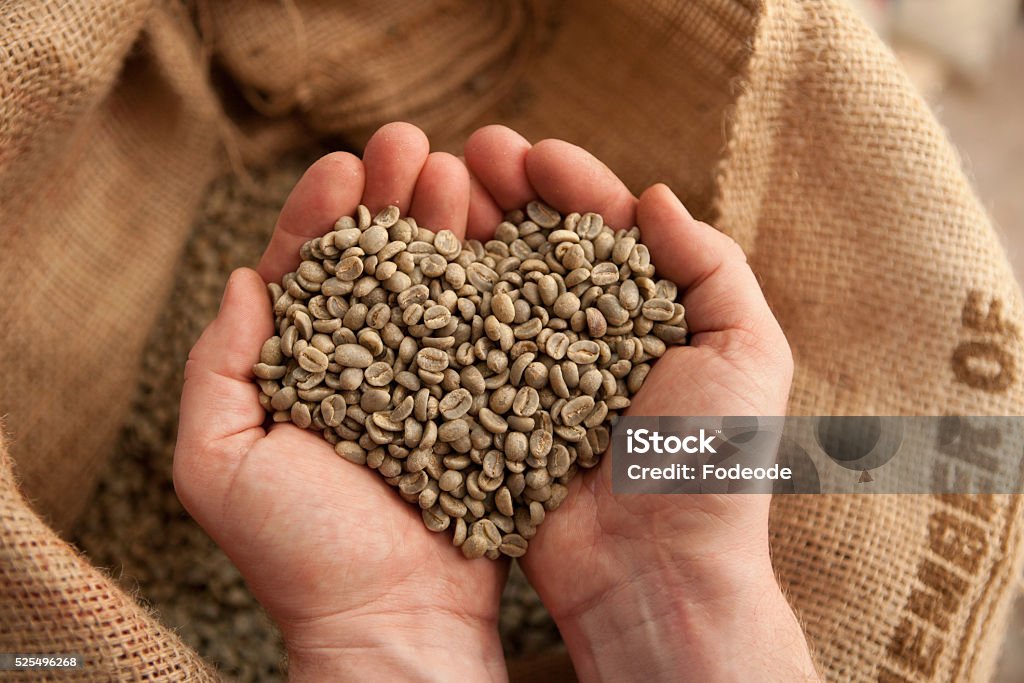 out of love for coffee heart of coffee beans Raw Coffee Bean Stock Photo