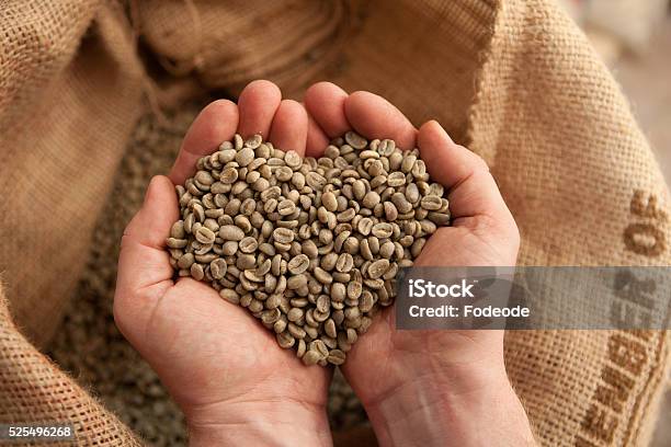 Out Of Love For Coffee Stock Photo - Download Image Now - Raw Coffee Bean, Roasted Coffee Bean, Coffee - Drink