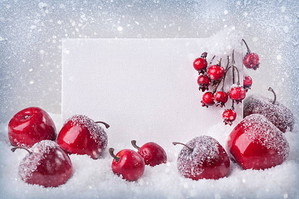Blank sign with christmas decorations