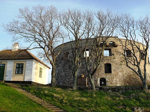 old fortress ruins with trees
