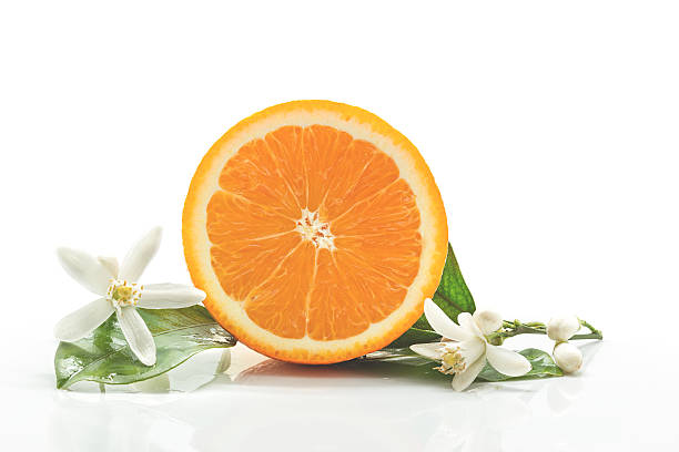 istock Orange fruit with leaves and blossom isolated 525500240