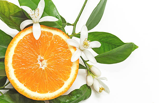 istock Half Orange Fruit with leaves and blossom isolated 525500368