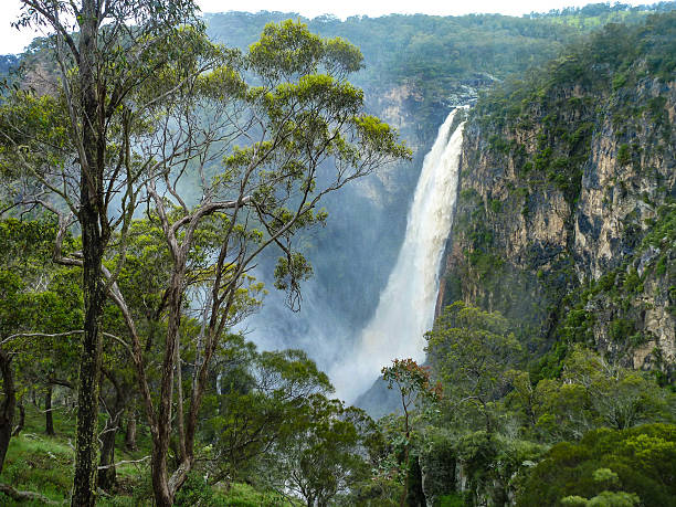 istock Dangars Falls, Armidale, NSW, Australia. 525500392