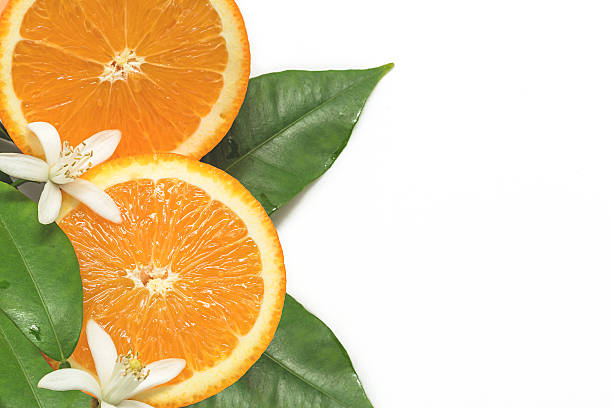 istock Fresh orange slices with leafs and blossom isolated 525500442