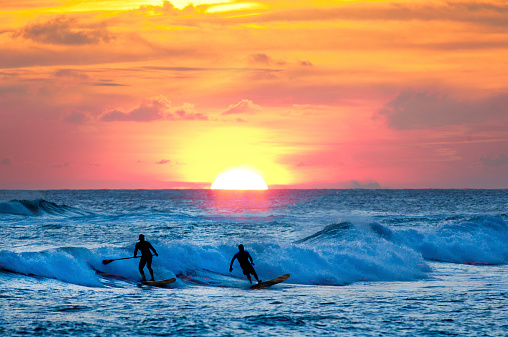 Surf board surfer and paddle board enthusiast surfing the waves and paddling a paddle board along the beach at sunset, in the Pacific Ocean waters off Poipu Beach, Kauai, Hawaii, USA. Horizontal seascape with unidentifiable silhouettes of people, with copy space.