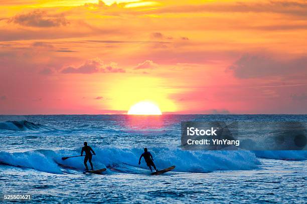 Sunset Surfer And Paddle Board On Pacific Waves Kauai Hawaii Stock Photo - Download Image Now