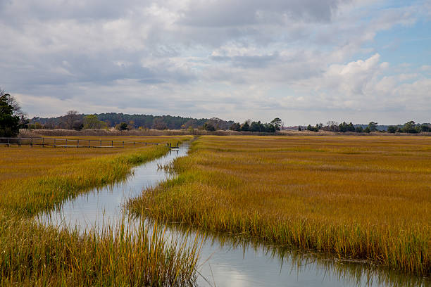 Delaware Coastal Marsh in Lewes, Delaware. stock photo
