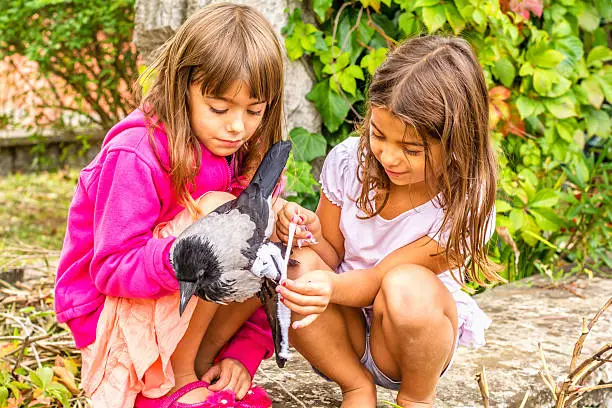 Photo of Two liitle girls with a Crow