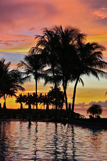 istock Sunset at the pool, Kota Kinabalu, Borneo 525511321