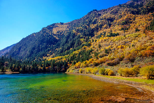 национальный парк в китае - winter china cloud lake стоковые фото и изображения