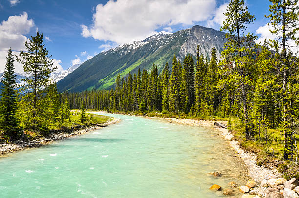 istock Vermilion river at Kootenay national park in Canada 525513801