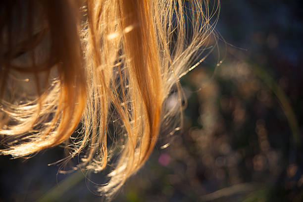 istock Sunset in your hair 525523581