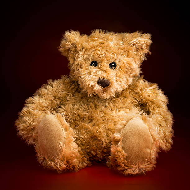 istock Portrait of a Fluffy Teddy Bear 525525509