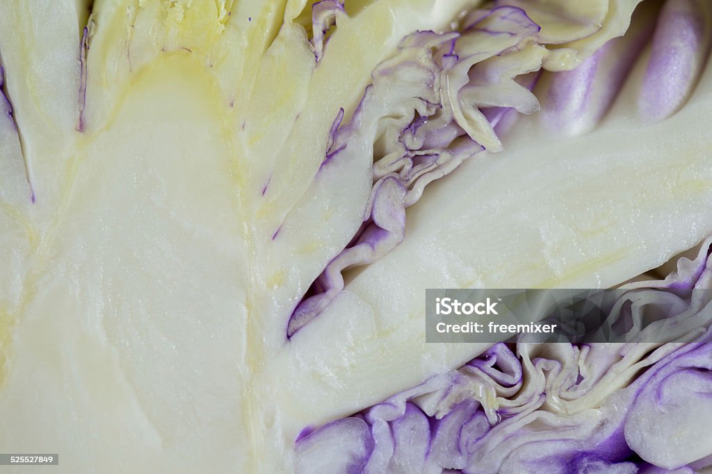 Purple Cabbage background Patterned purple cabbage background of macro Abstract Stock Photo