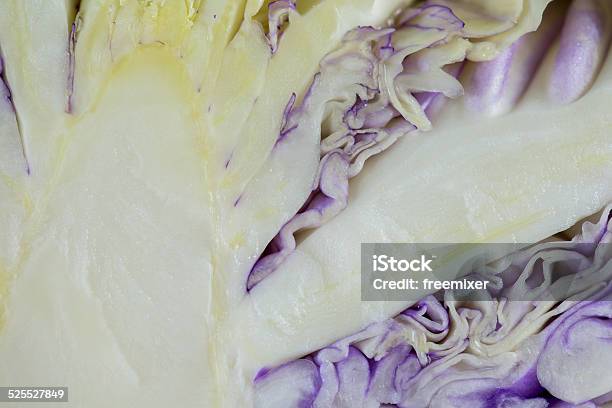 Purple Cabbage Background Stock Photo - Download Image Now - Abstract, Agriculture, Cabbage