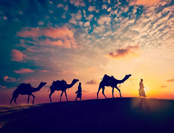 Vintage retro effect filtered hipster style image of  Rajasthan travel background - two indian cameleers (camel drivers) with camels silhouettes in dunes of Thar desert on sunset. Jaisalmer, Rajasthan, India
