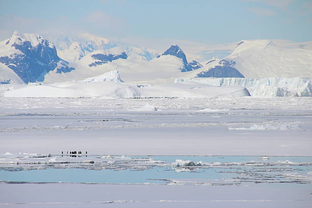 istock Argentine Islands, Antarctica 525546205