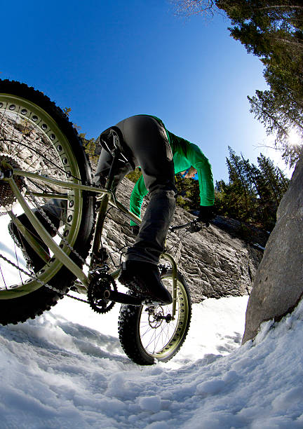 istock Winter Fat Bike Ride 525559771