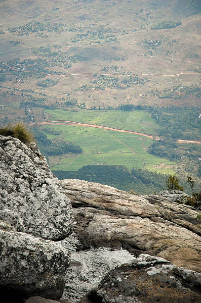 istock View on tea fields from Mount Mulanje Malawi Africa 525561463