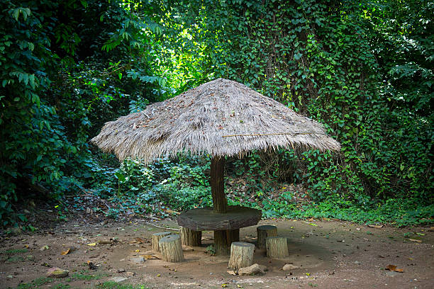 istock Gazebo with a thatched roof in the jungle 525561957
