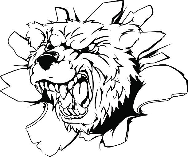 890+ Bear Clipart Black And White Pictures Stock Illustrations, Royalty ...