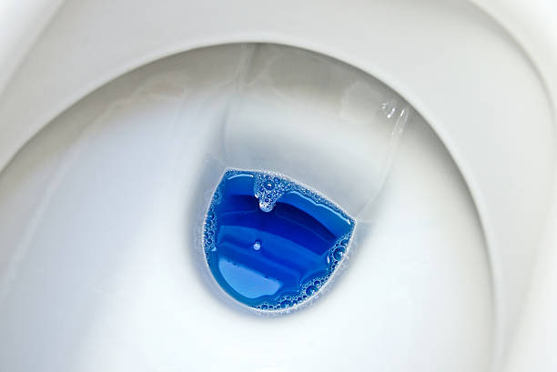 sanitation