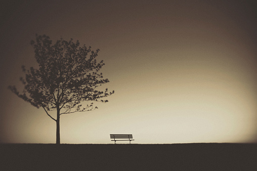 Park bench and tree in dusk light.  Toned black and white with heavy vignette.