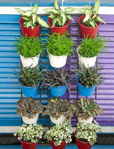 istock Flowers in garden pot on step wood wall 525570641