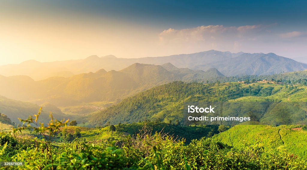 Beautiful sunshine at misty morning mountains . Beautiful sunshine at misty morning mountains at north thailand Agricultural Field Stock Photo