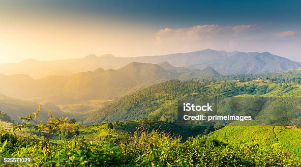 Beautiful Sunshine At Misty Morning Mountains Stock Photo - Download Image Now - Agricultural Field, Agriculture, Asia