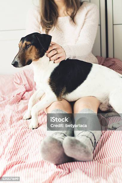 Dog Having A Relaxing Siesta In Living Room Stock Photo - Download Image Now - Adult, Animal, Beautiful People