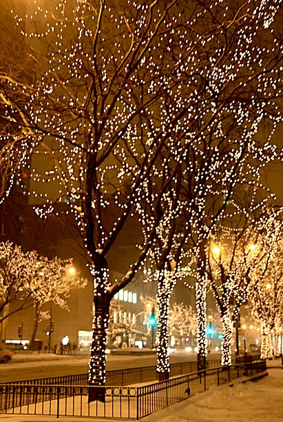 istock Christmas lights in Chicago 525575431