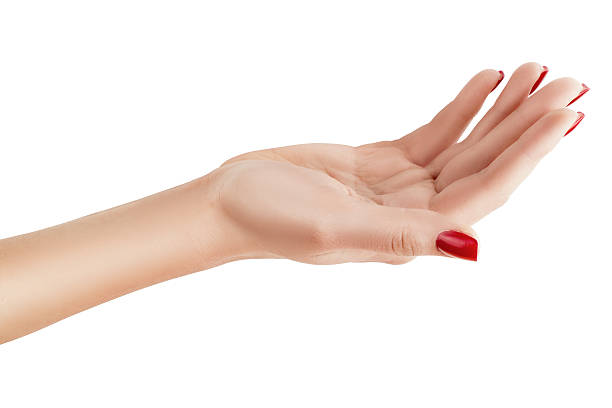 istock Female hand palm up. 525583853