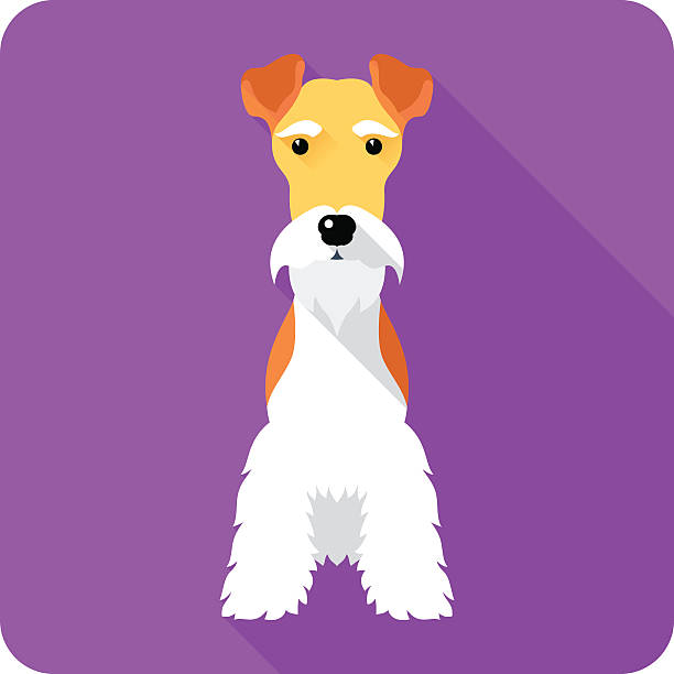ilustrações, clipart, desenhos animados e ícones de fox terrier cachorro ícone do design 2d - fox terrier