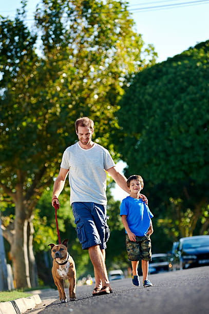 istock walking dog family 525609639