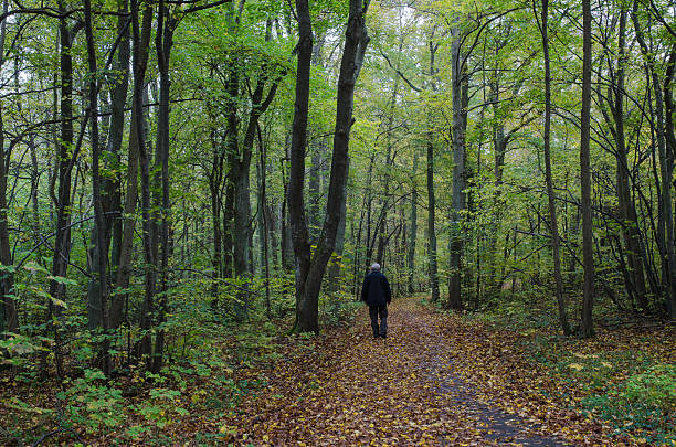 istock Lone man at autumn walk 525610717