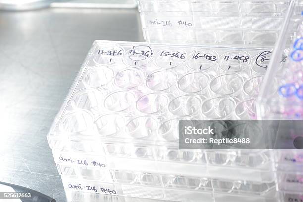 Microplates Stock Photo - Download Image Now - Equipment, Healthcare And Medicine, Horizontal