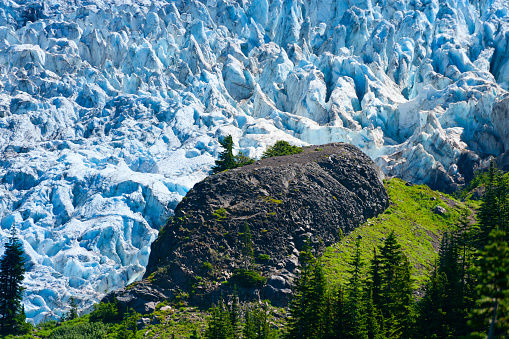 Seen from the Heliotrope Ridge Trail on Mt. Baker in western Washington state is the beautiful blue ice of the Coleman Glacier.