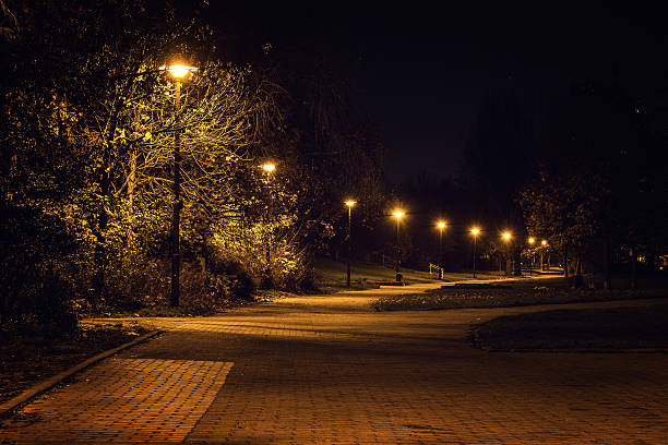 parc de prenzlauer berg, de nuit - scenics autumn mystery vibrant color photos et images de collection